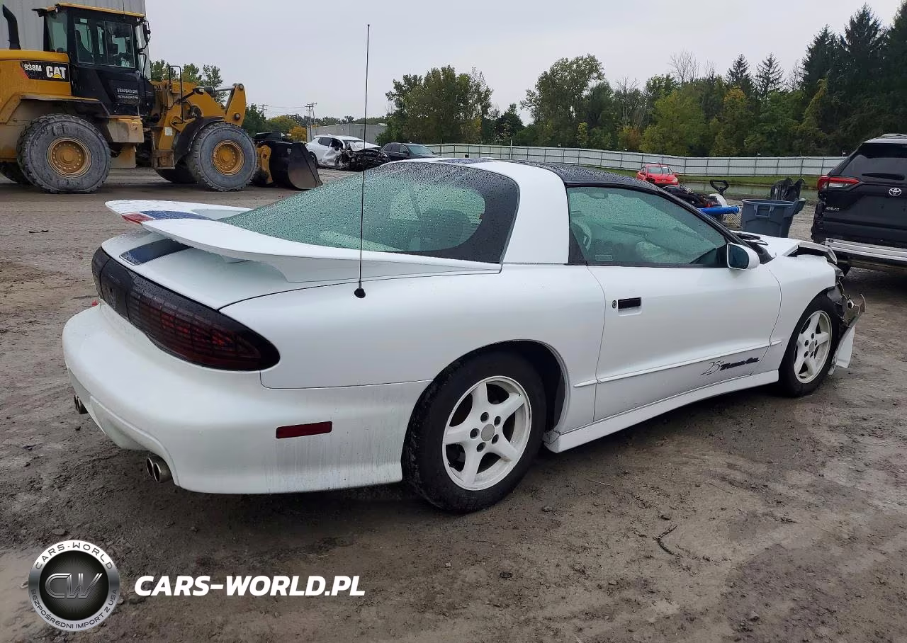1994 Pontiac Firebird Formula VIN:2G2FV22P9R2248913 - 3