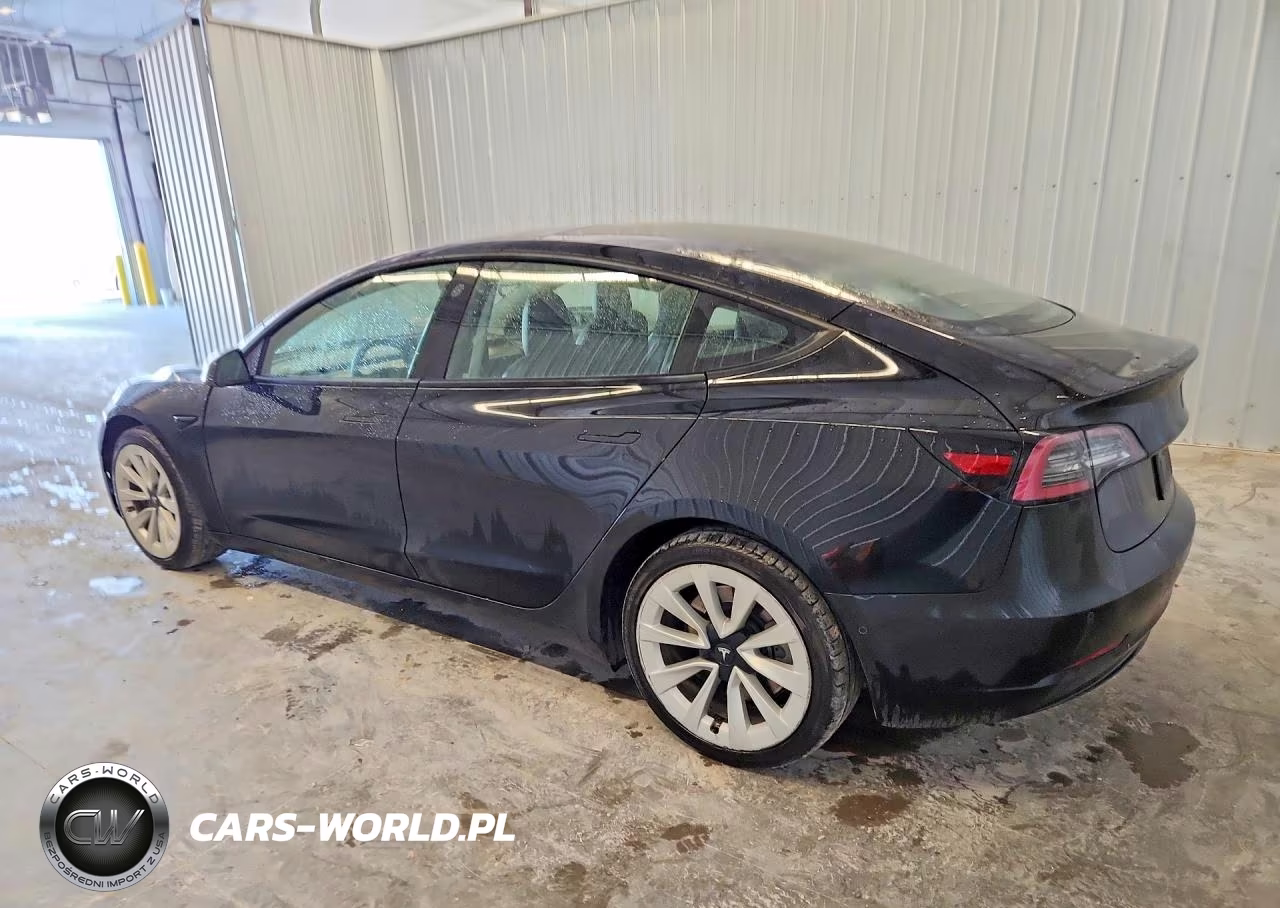 2022 Tesla Model 3 VIN:5YJ3E1EA7NF290770 - 2