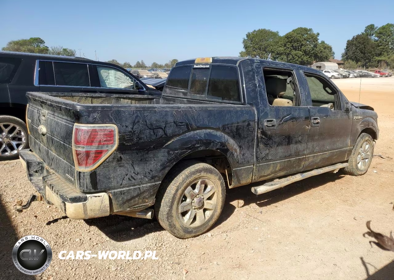 2014 Ford F150 Supercrew VIN:1FTFW1CF6EFB56112 - 3