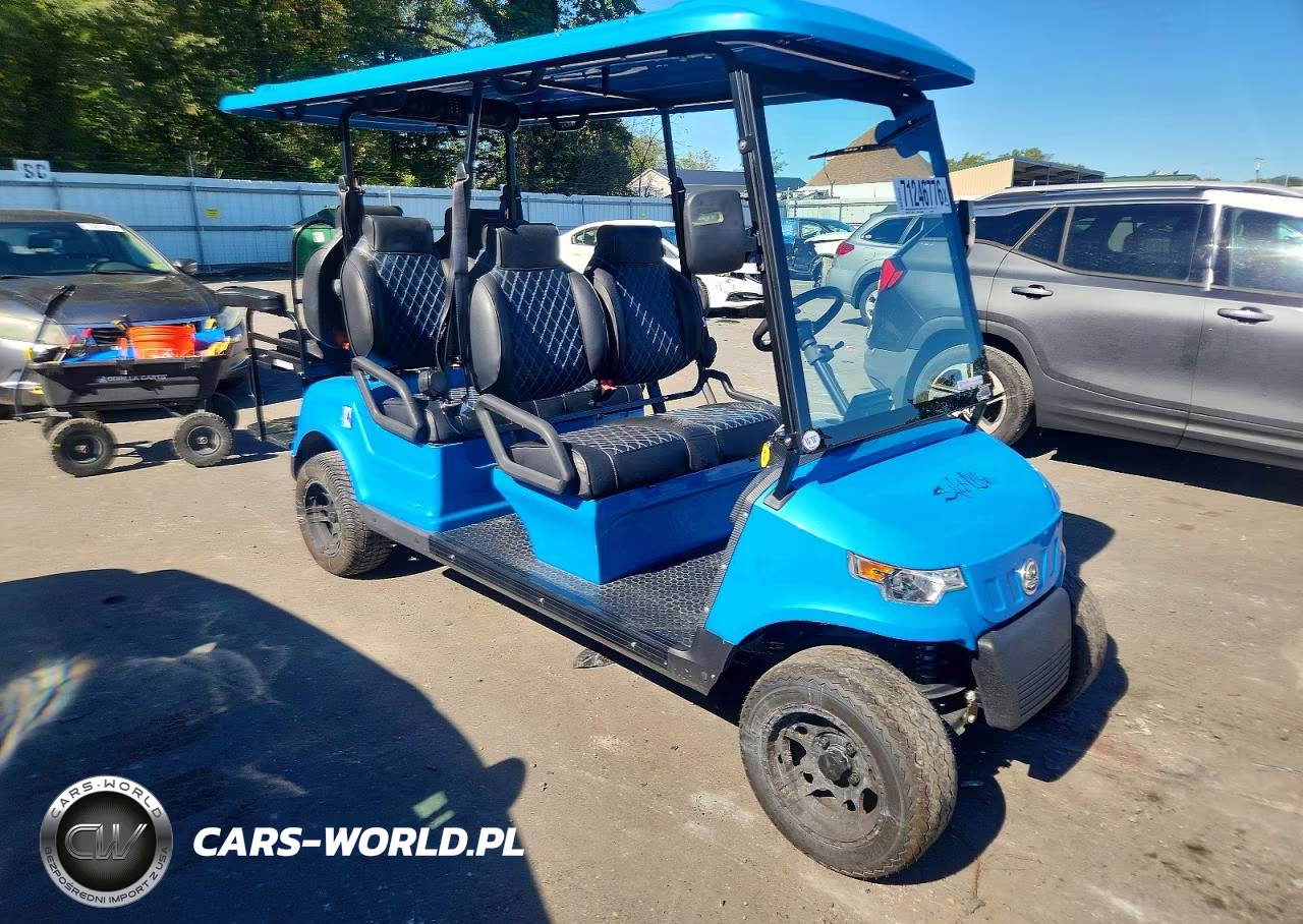 2023 Icon Golf Cart – zdjęcie 1 z 10