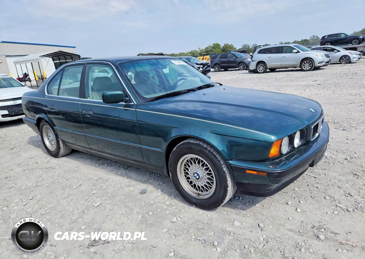 1994 BMW 530 I Automatic VIN:WBAHE2313RGE83654 - 4