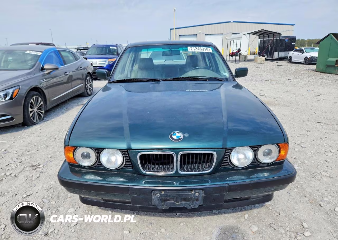 1994 BMW 530 I Automatic VIN:WBAHE2313RGE83654 - 5