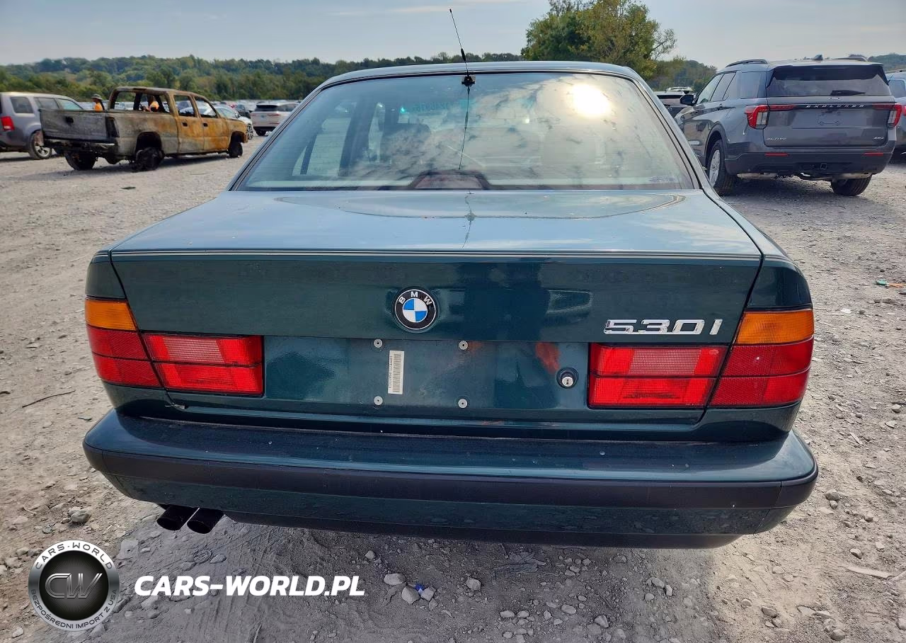 1994 BMW 530 I Automatic VIN:WBAHE2313RGE83654 - 6