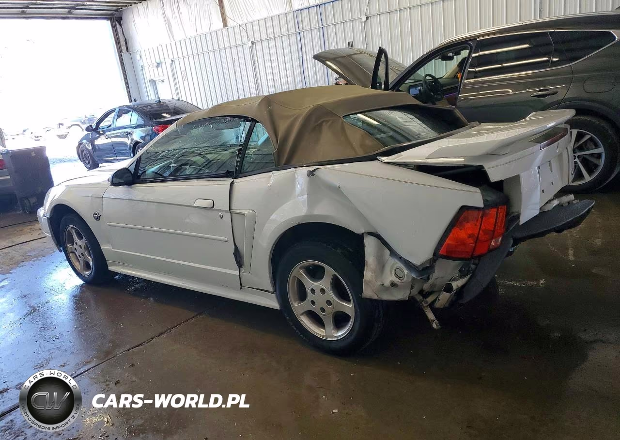2004 Ford Mustang VIN:1FAFP44604F163056 - 2