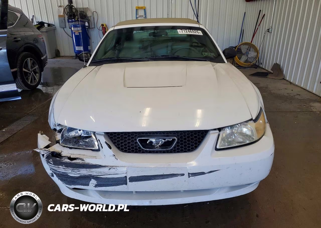 2004 Ford Mustang VIN:1FAFP44604F163056 - 5