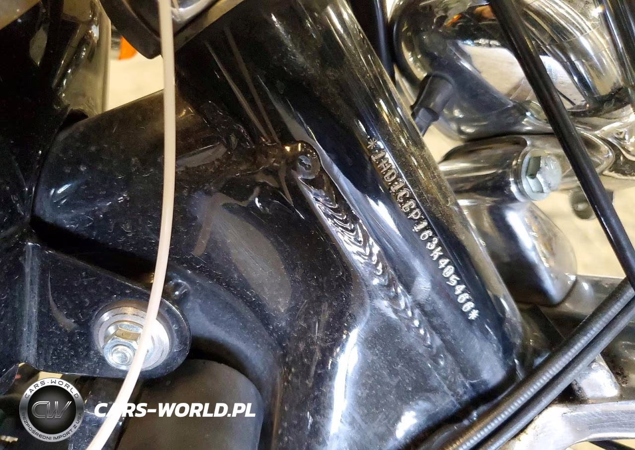 2003 Harley-Davidson Xl1200 C VIN:1HD1CGP163K405466 - 9
