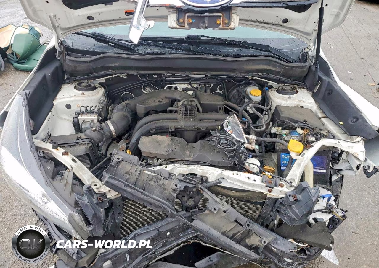 2018 Subaru Forester 2.5I Premium VIN:JF2SJAEC1JH518153 - 12