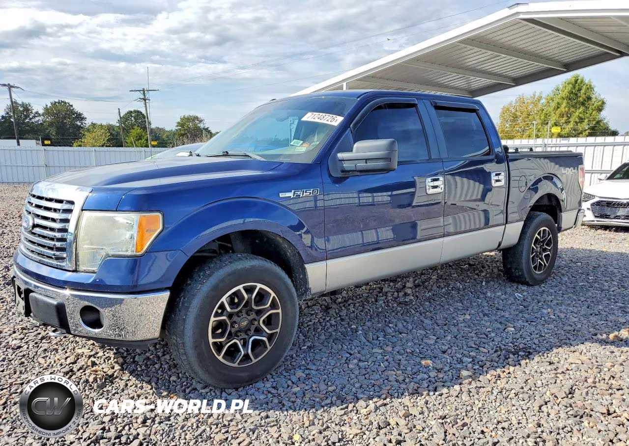 2010 Ford F150 Supercrew VIN:1FTFW1EV1AFD87434 - 1