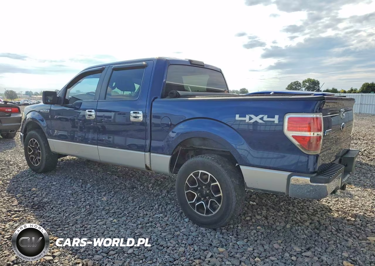 2010 Ford F150 Supercrew VIN:1FTFW1EV1AFD87434 - 2