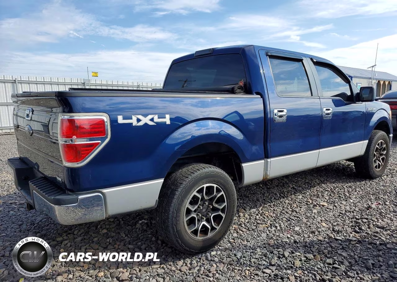 2010 Ford F150 Supercrew VIN:1FTFW1EV1AFD87434 - 3