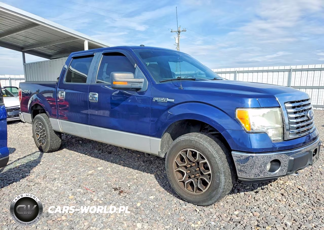 2010 Ford F150 Supercrew VIN:1FTFW1EV1AFD87434 - 4