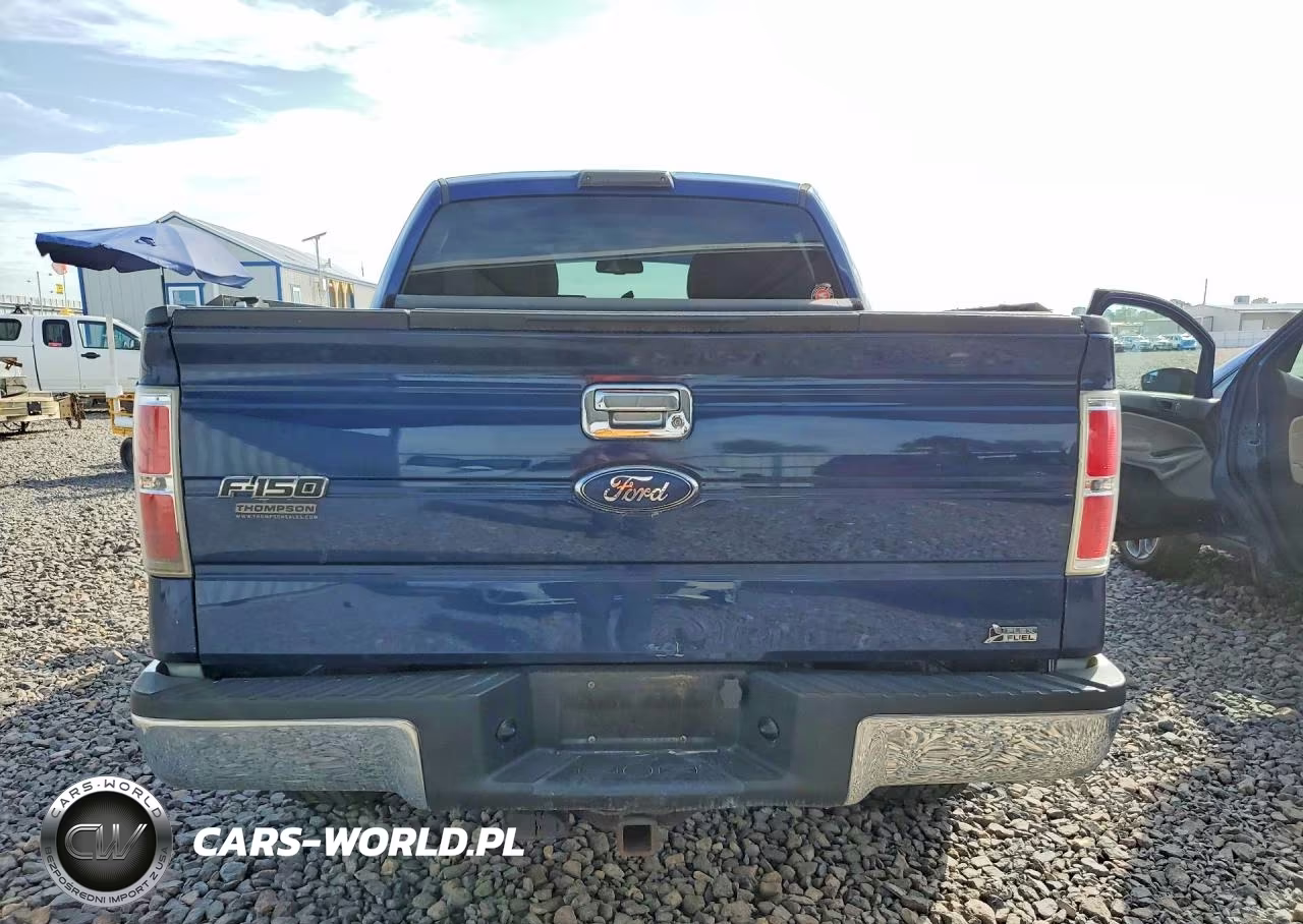 2010 Ford F150 Supercrew VIN:1FTFW1EV1AFD87434 - 6