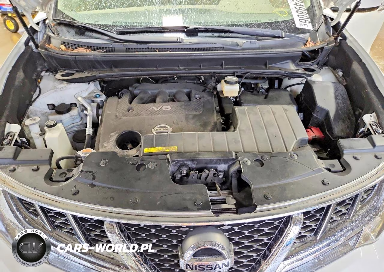 2014 Nissan Murano Crosscabriolet VIN:JN8AZ1FY9EW300674 - 11