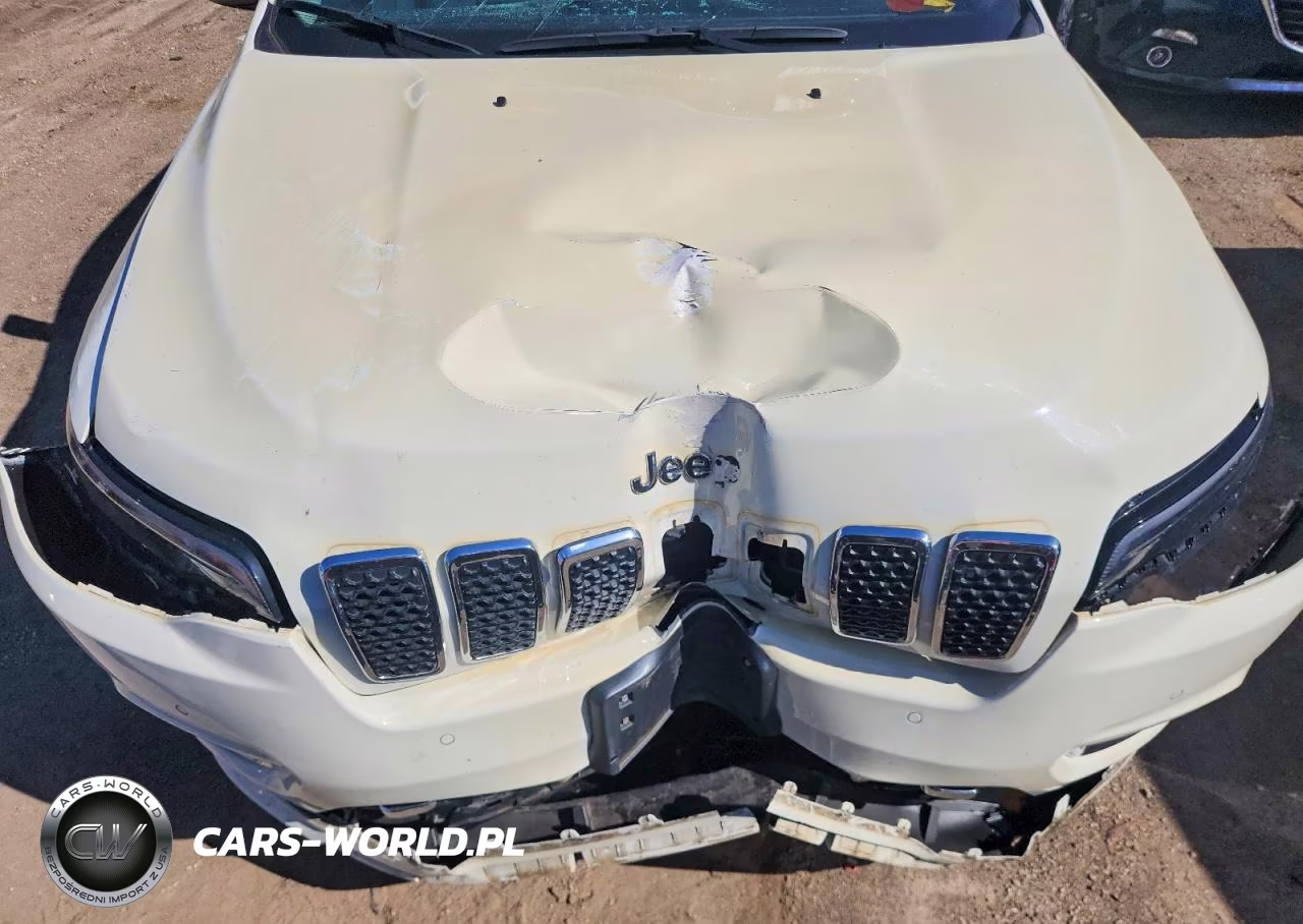 2019 Jeep Cherokee Overland VIN:1C4PJMJX8KD249527 - 11