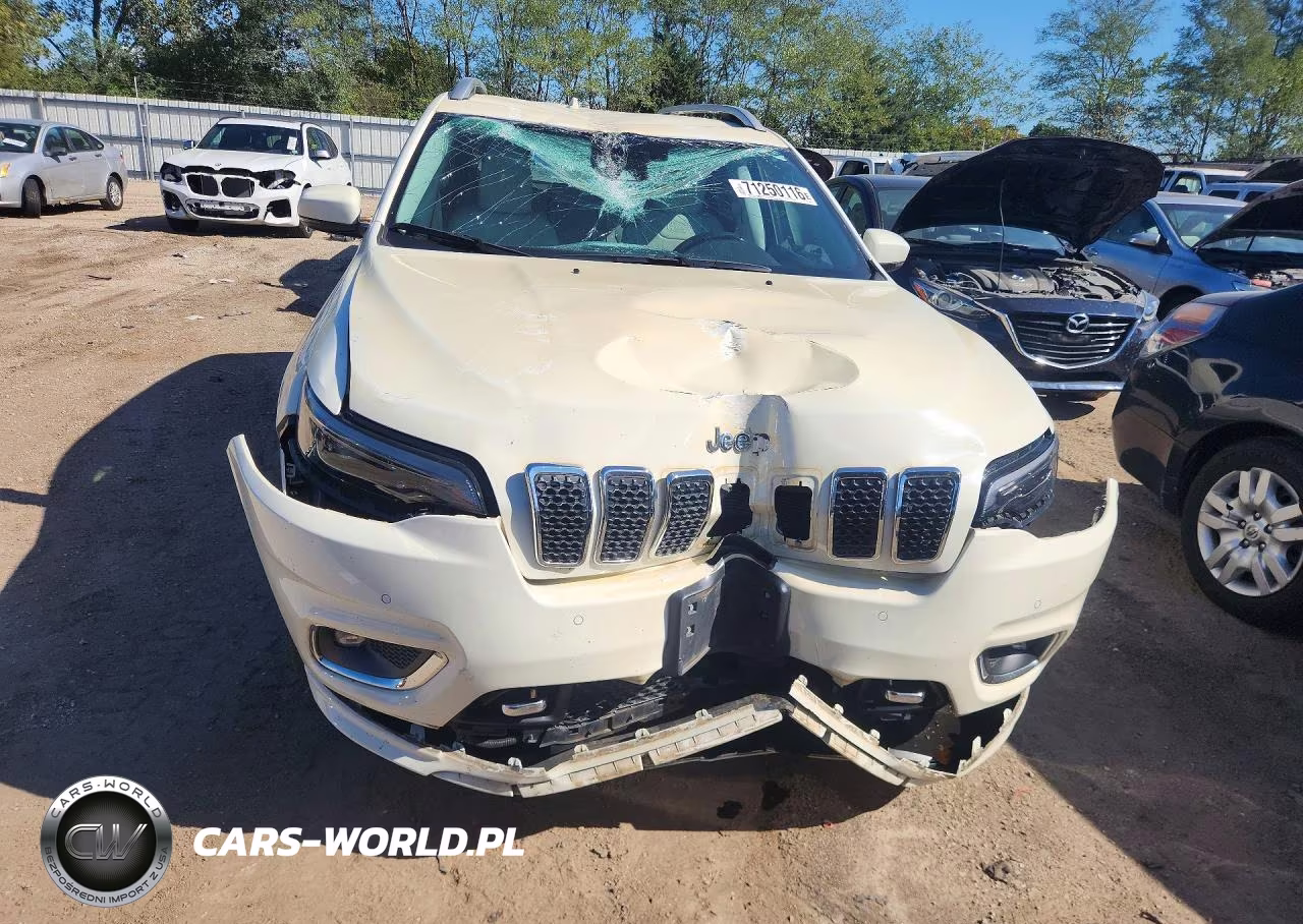 2019 Jeep Cherokee Overland VIN:1C4PJMJX8KD249527 - 5