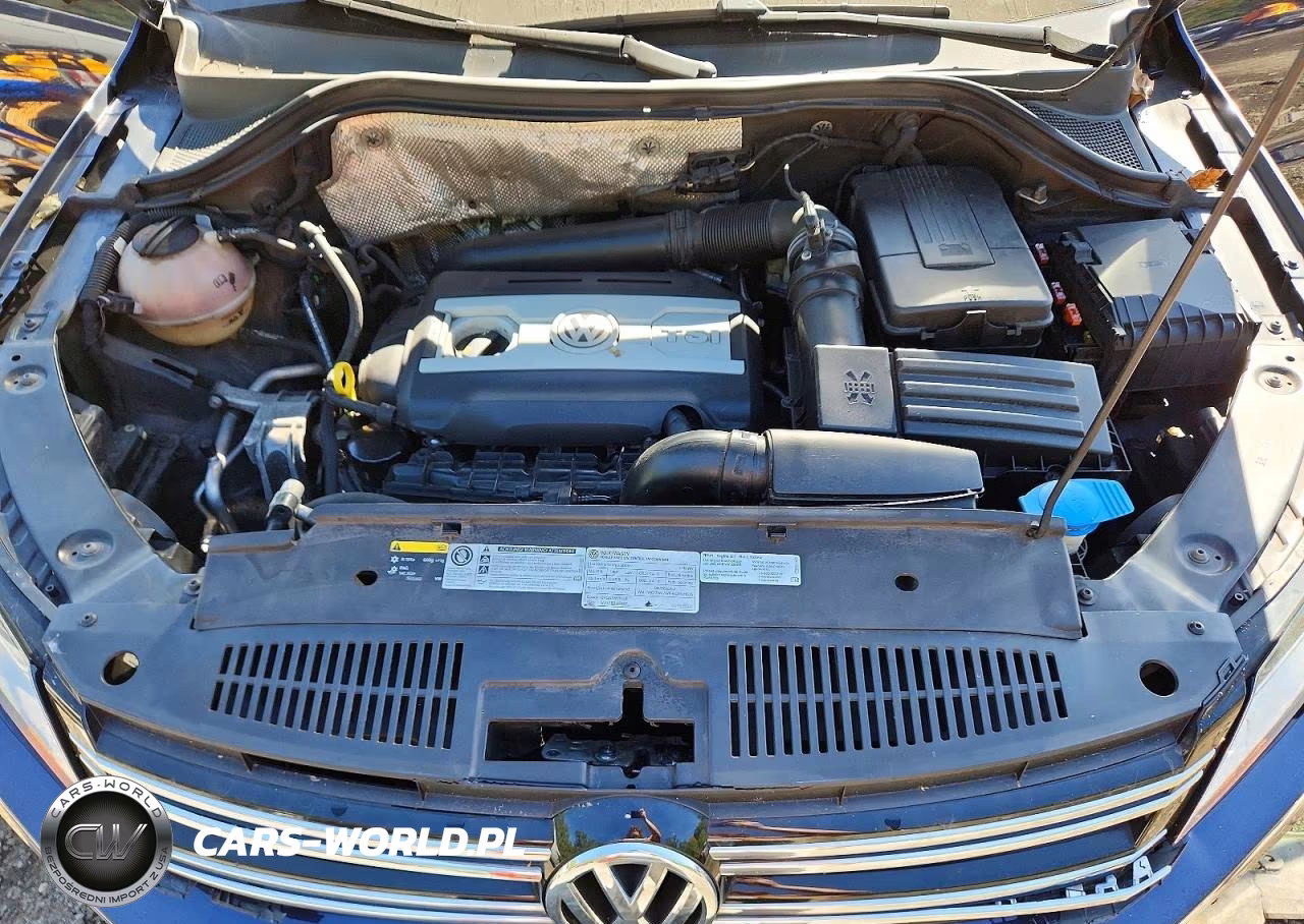 2016 Volkswagen Tiguan S VIN:WVGAV7AX3GW601660 - 12