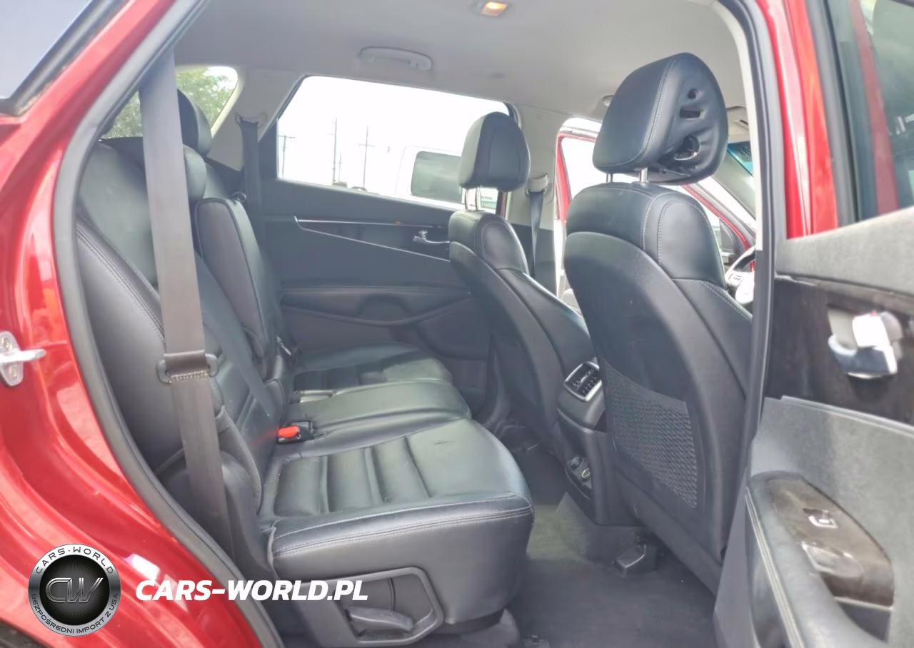 2016 Kia Sorento Ex VIN:5XYPHDA19GG025165 - 11