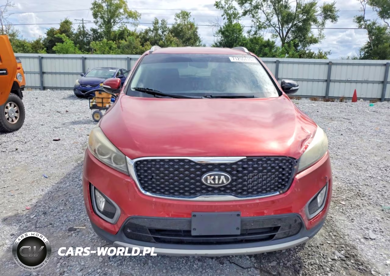 2016 Kia Sorento Ex VIN:5XYPHDA19GG025165 - 5