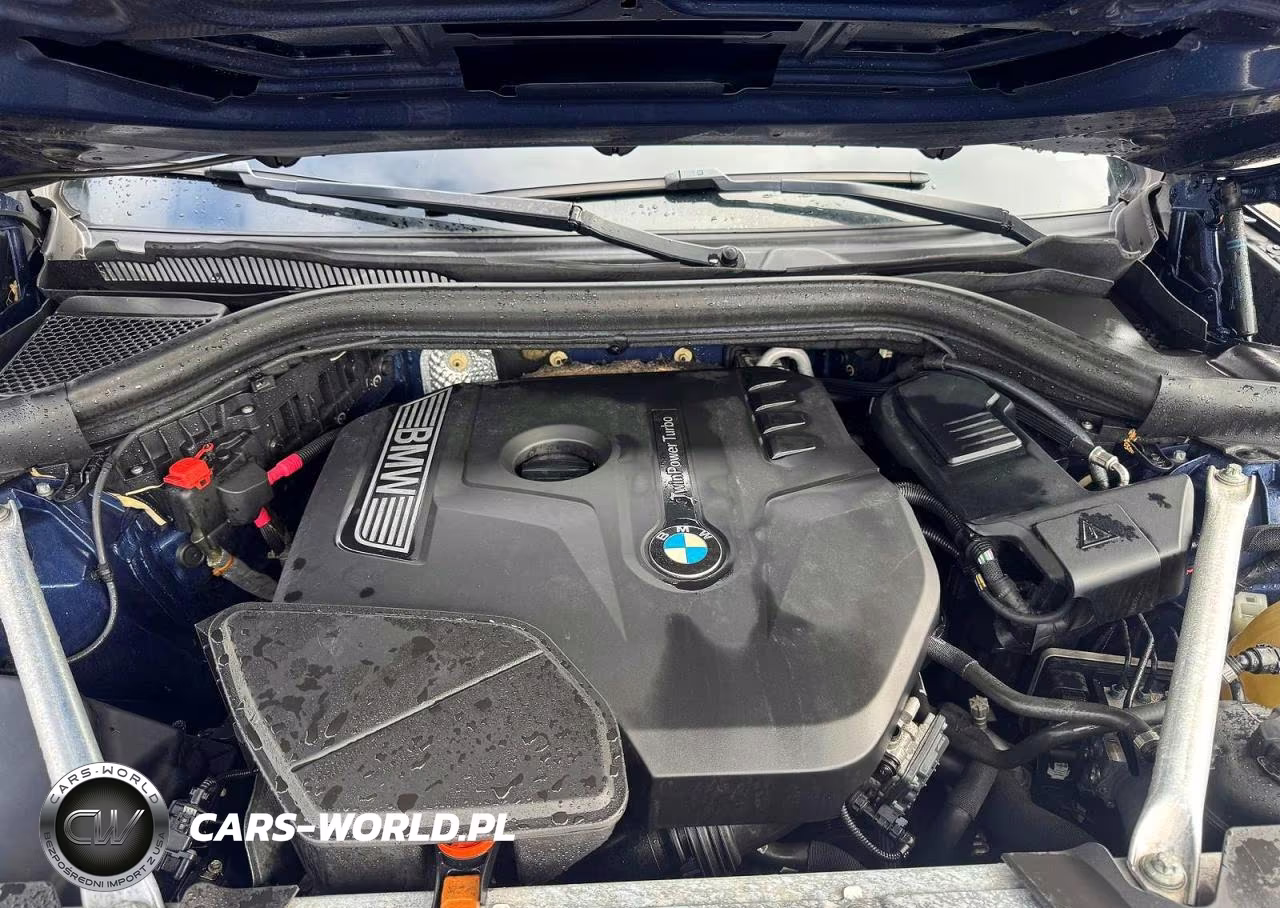 2019 BMW X3 Sdrive30I VIN:5UXTR7C52KLF25230 - 8