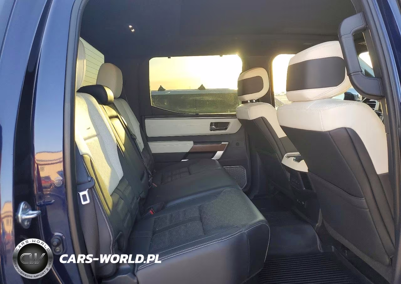 2023 TOYOTA TUNDRA HYBRID CAPSTONE VIN:5TFVC5DB8PX024523 - 10