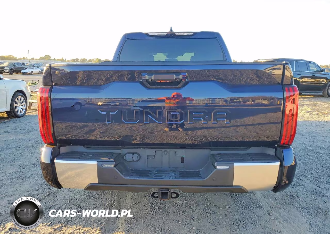 2023 TOYOTA TUNDRA HYBRID CAPSTONE VIN:5TFVC5DB8PX024523 - 6