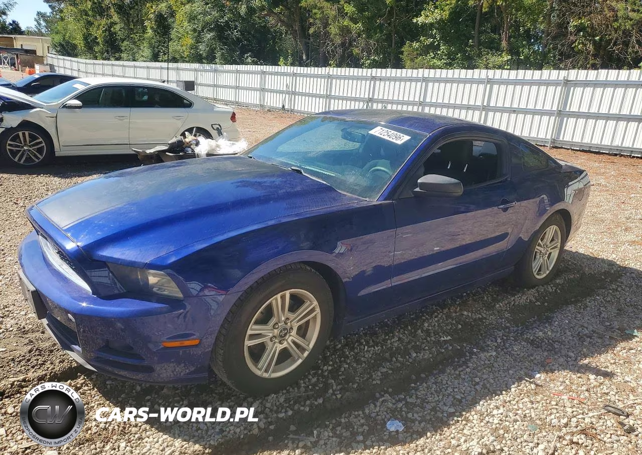 2014 Ford Mustang VIN:1ZVBP8AM7E5273920 - 1