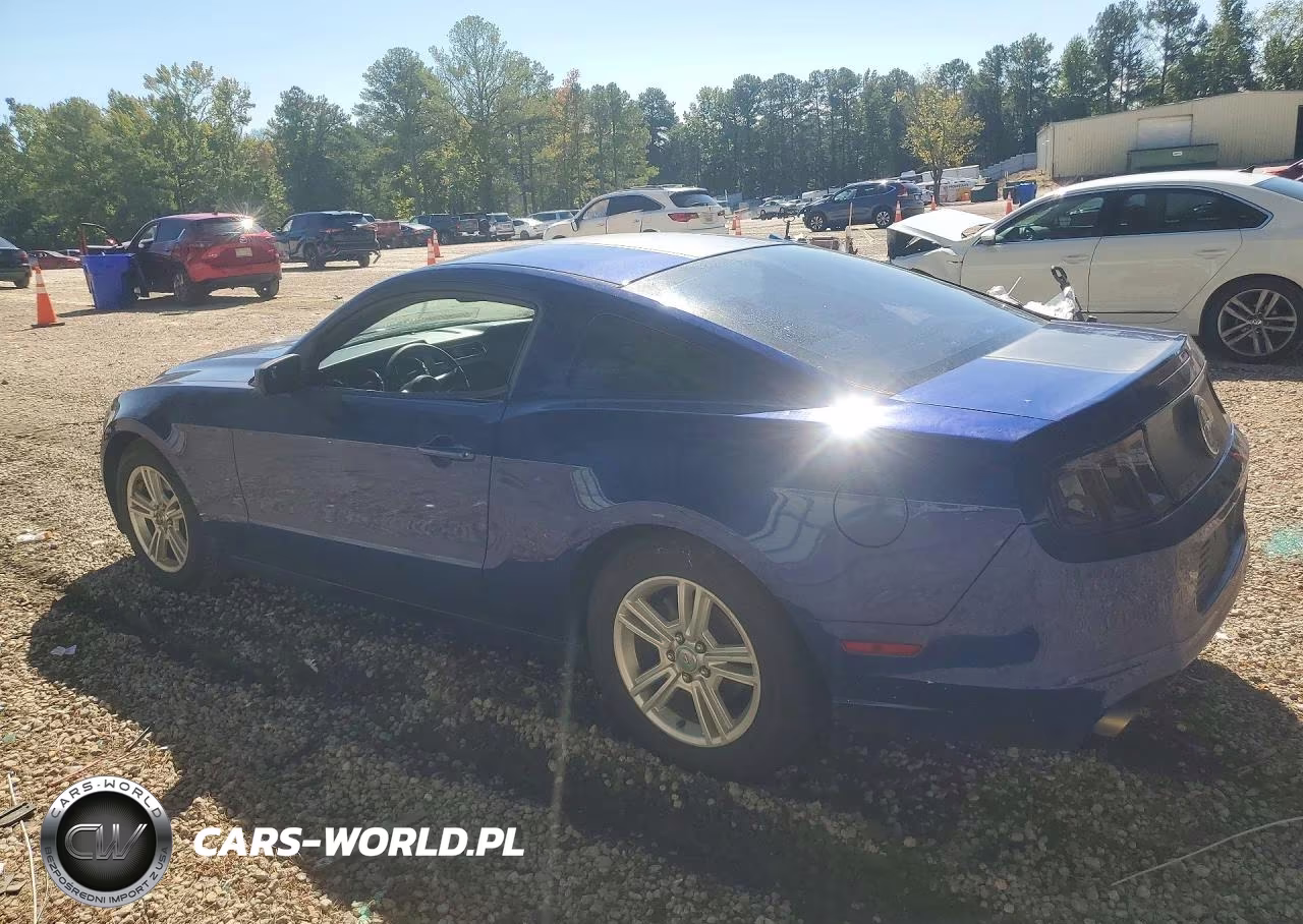 2014 Ford Mustang VIN:1ZVBP8AM7E5273920 - 2