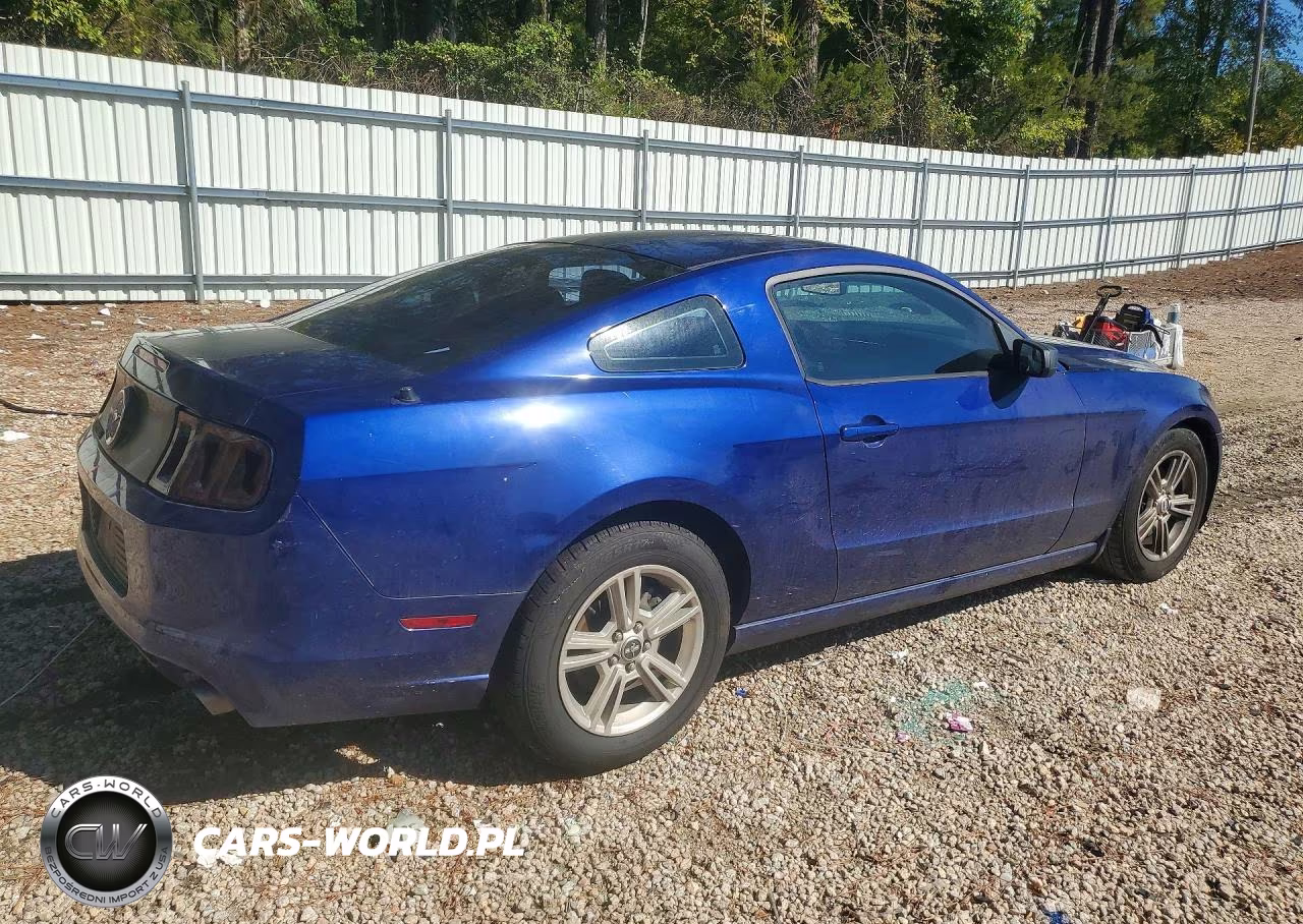 2014 Ford Mustang VIN:1ZVBP8AM7E5273920 - 3