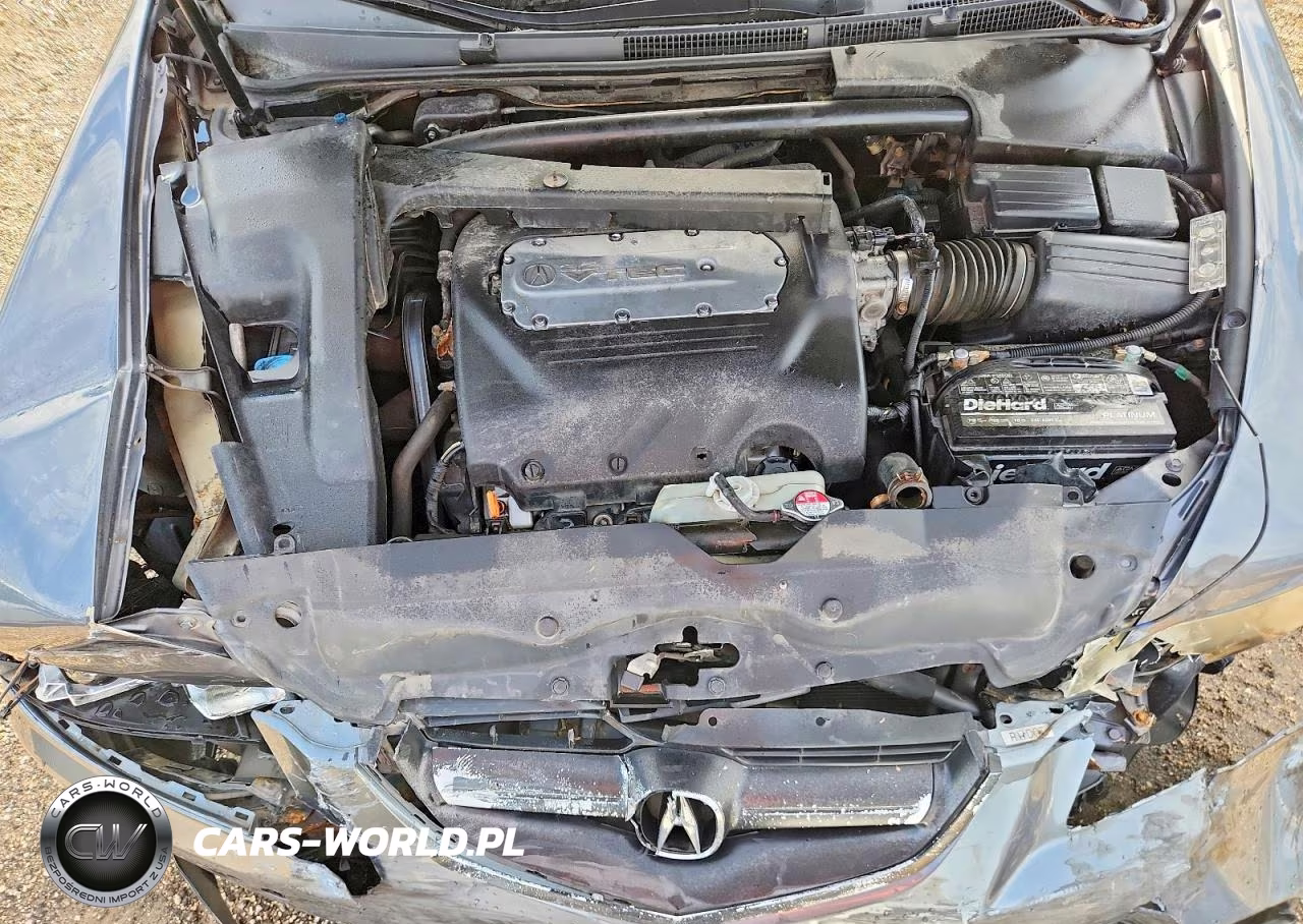 2006 Acura 3.2Tl VIN:19UUA66216A071125 - 11
