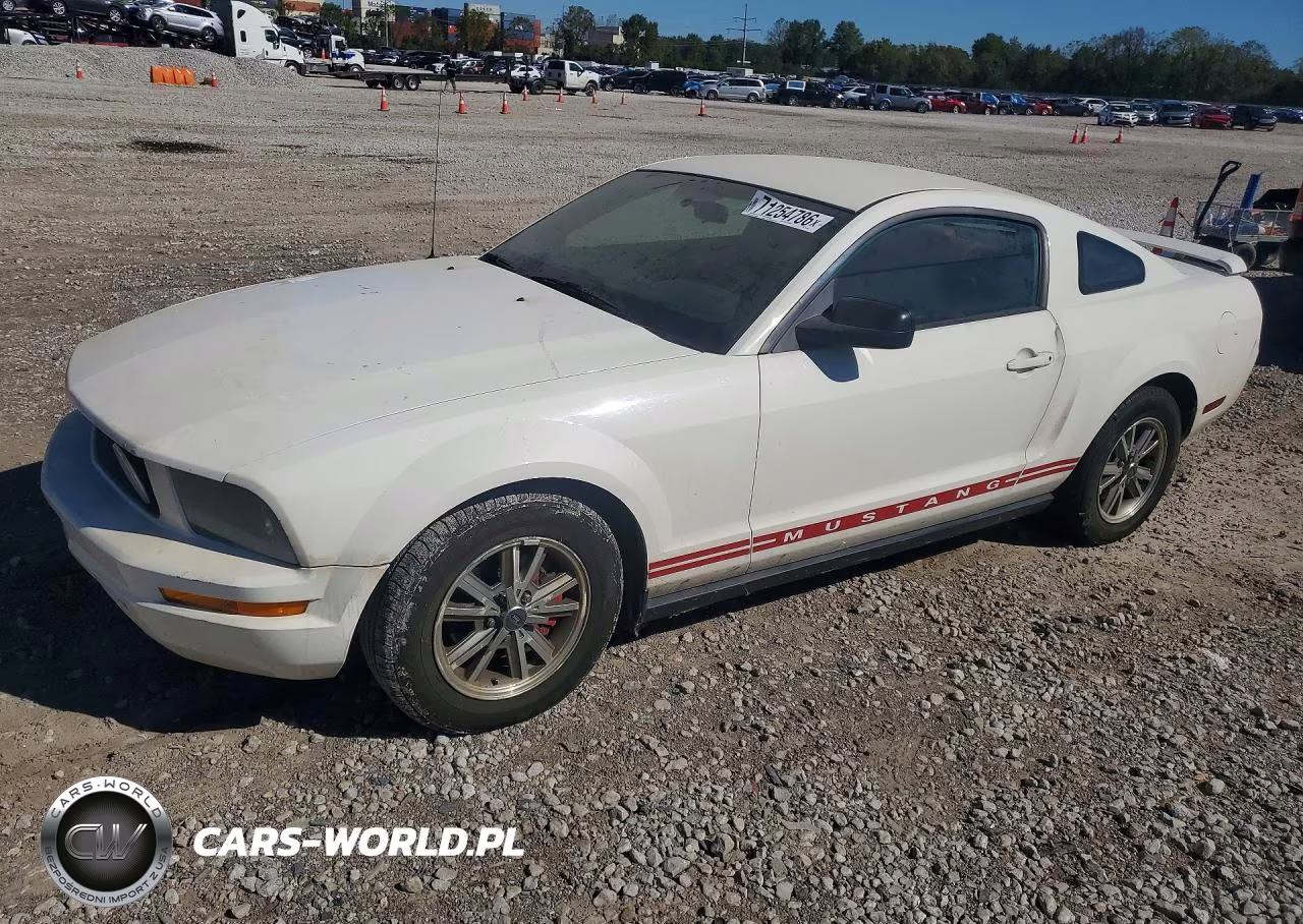 2005 Ford Mustang VIN:1ZVFT80N355257138 - 1