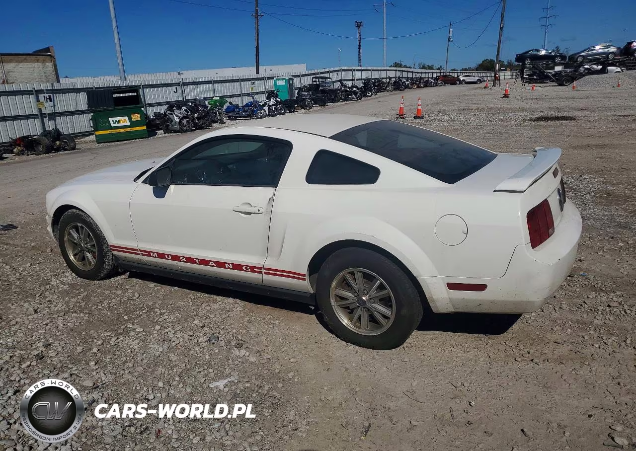 2005 Ford Mustang VIN:1ZVFT80N355257138 - 2