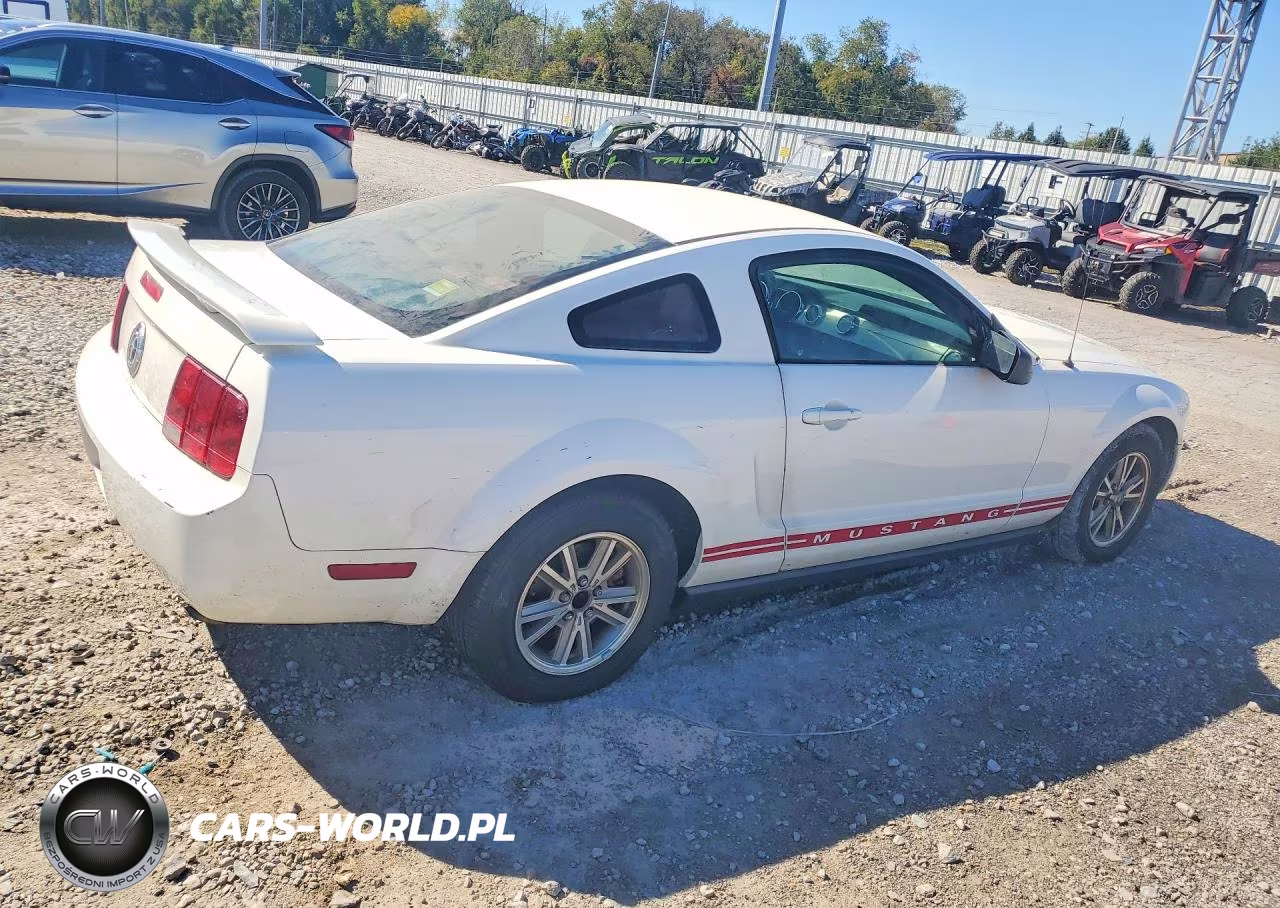 2005 Ford Mustang VIN:1ZVFT80N355257138 - 3