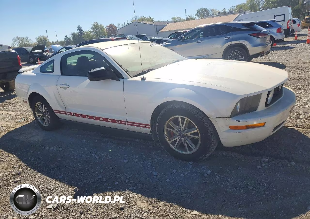 2005 Ford Mustang VIN:1ZVFT80N355257138 - 4