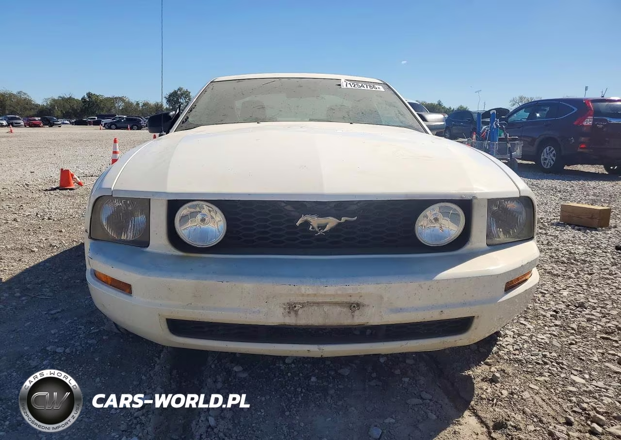 2005 Ford Mustang VIN:1ZVFT80N355257138 - 5