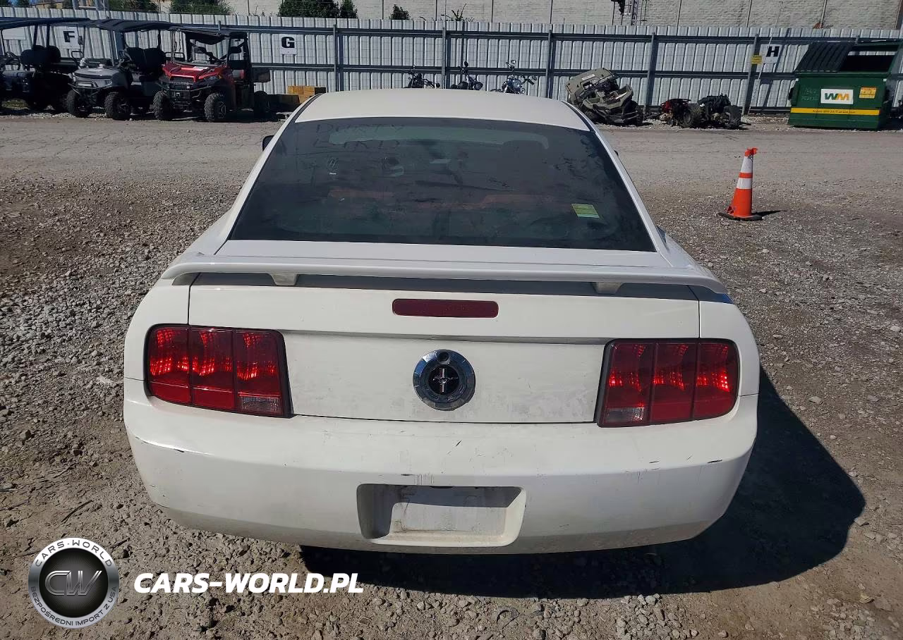2005 Ford Mustang VIN:1ZVFT80N355257138 - 6
