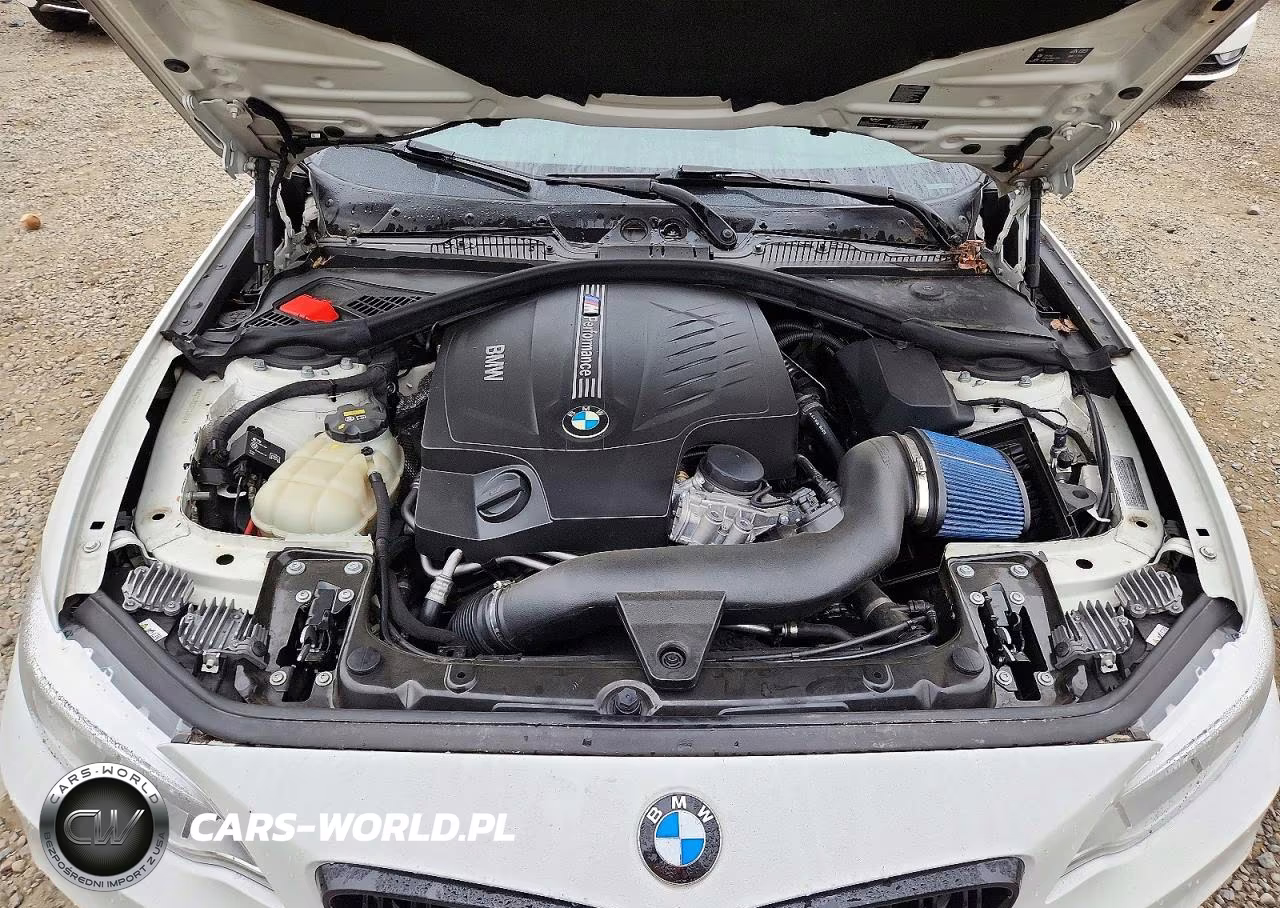 2015 BMW M235I VIN:WBA1J7C5XFV358684 - 11