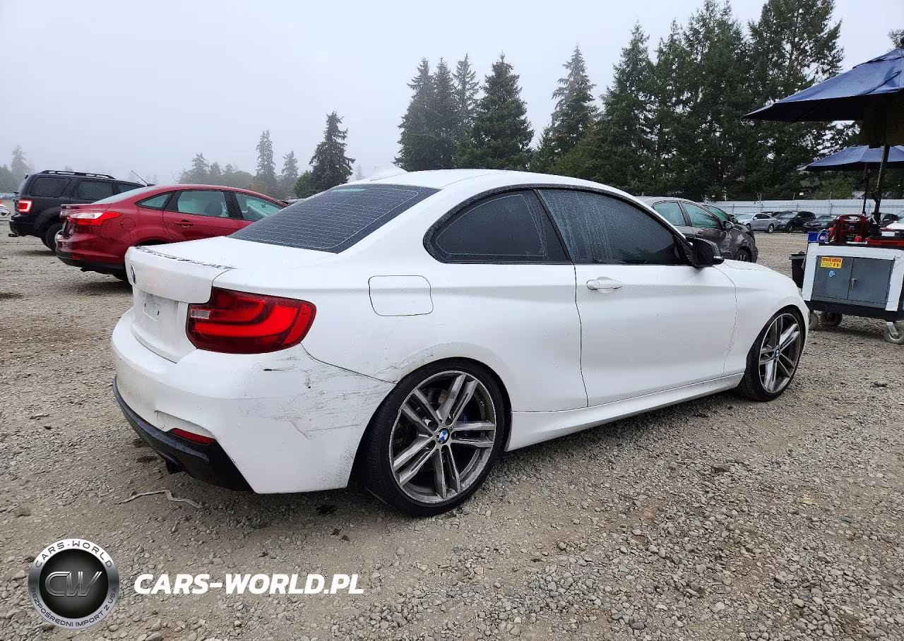 2015 BMW M235I VIN:WBA1J7C5XFV358684 - 3