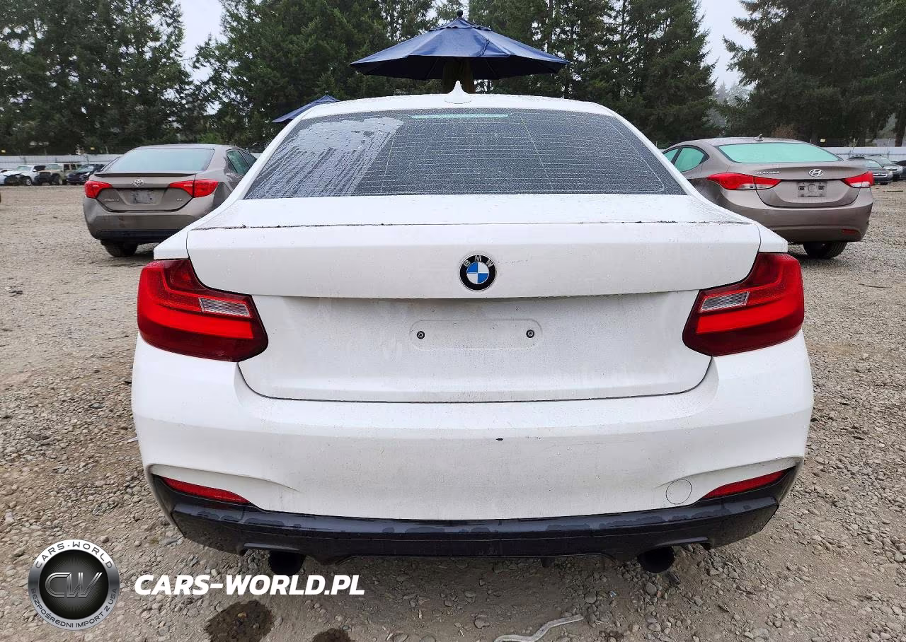 2015 BMW M235I VIN:WBA1J7C5XFV358684 - 6