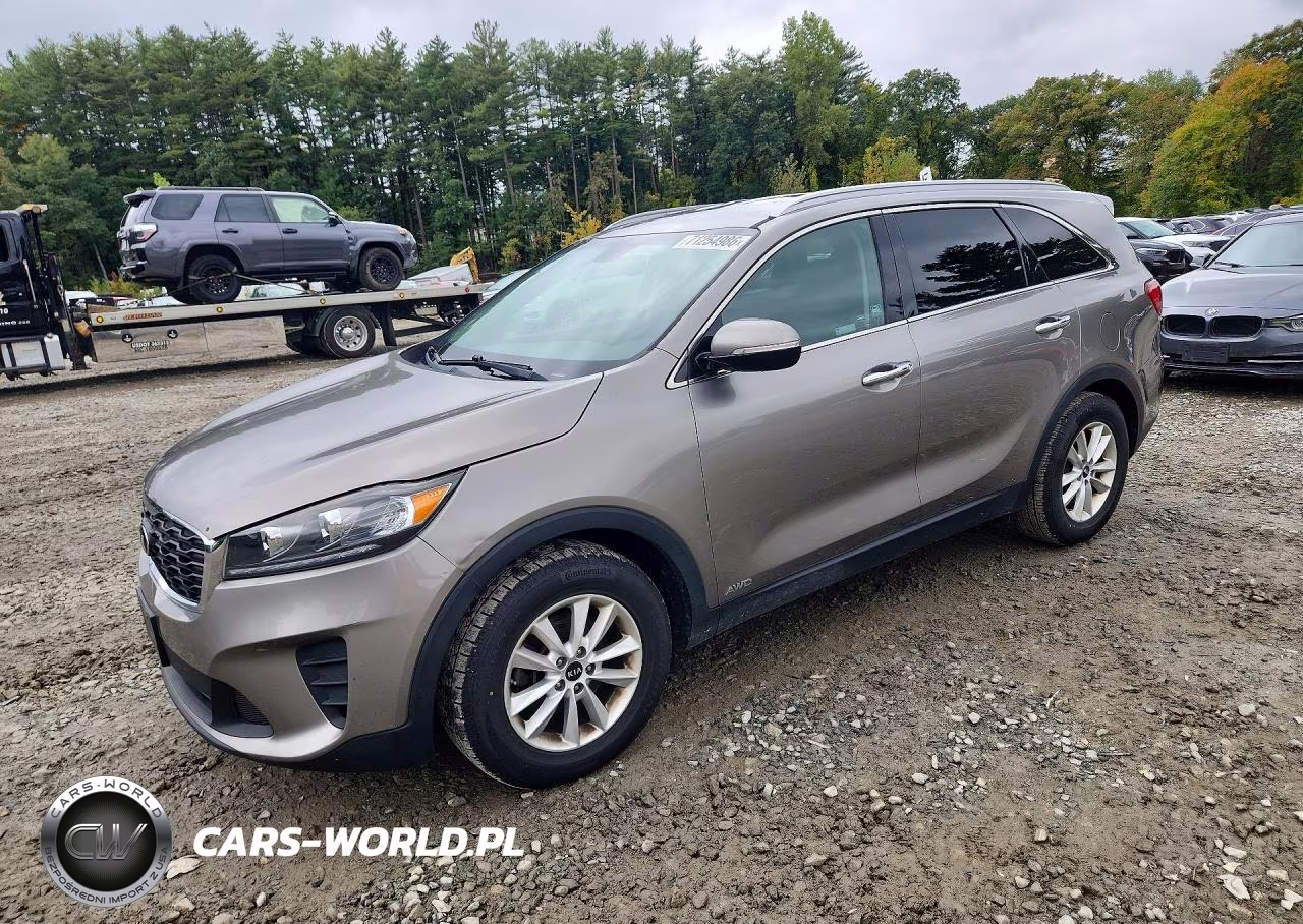 2019 Kia Sorento Lx V6 VIN:5XYPGDA52KG540085 - 1