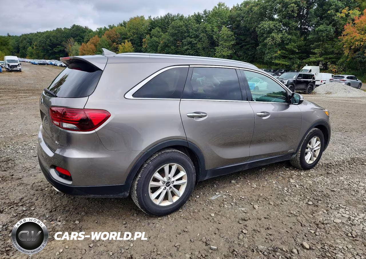2019 Kia Sorento Lx V6 VIN:5XYPGDA52KG540085 - 3