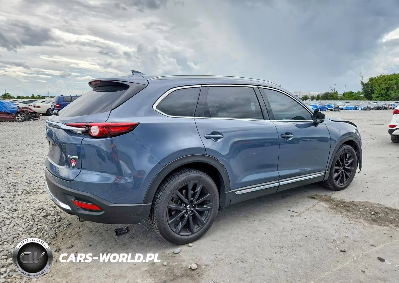 2021 Mazda Cx-9 Grand Touring VIN:JM3TCBDY6M0504663 - 3