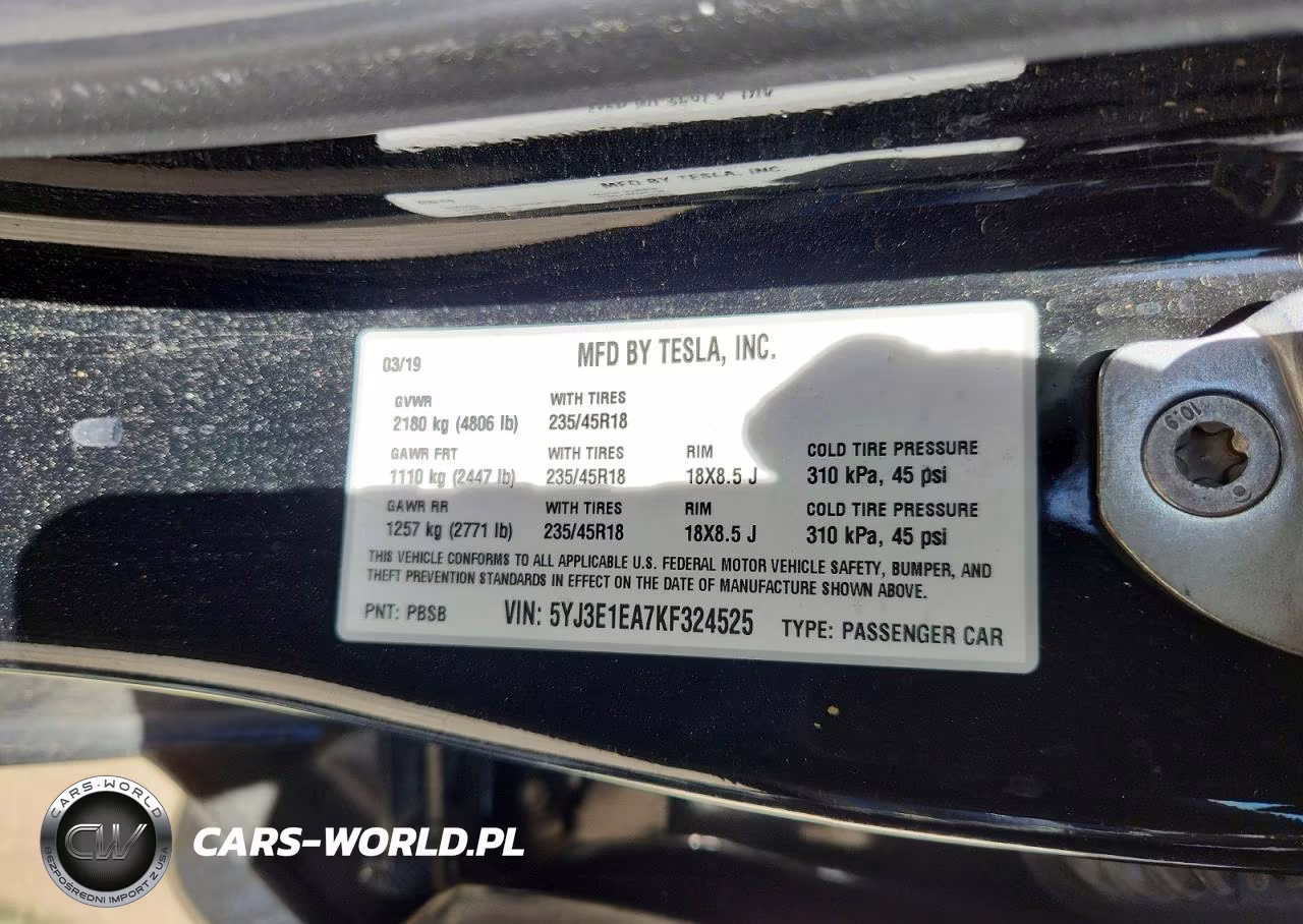 2019 Tesla Model 3 VIN:5YJ3E1EA7KF324525 - 12