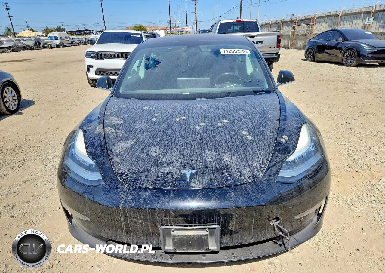 2019 Tesla Model 3 VIN:5YJ3E1EA7KF324525 - 5
