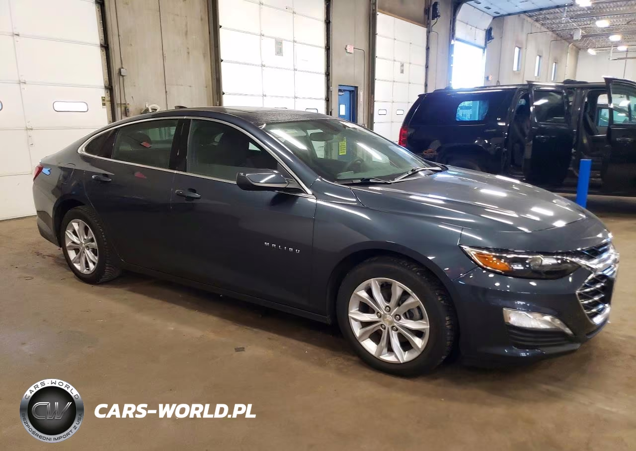 2019 Chevrolet Malibu Lt VIN:1G1ZD5ST2KF193664 - 4