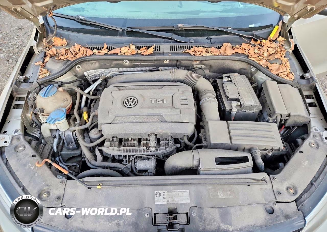 2014 Volkswagen Jetta Se VIN:3VWD17AJ8EM286678 - 11
