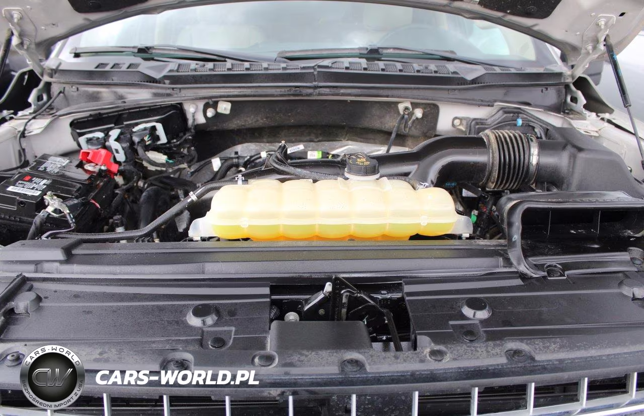 2020 Ford F150 Supercrew VIN:1FTEW1EP9LKD11323 - 7