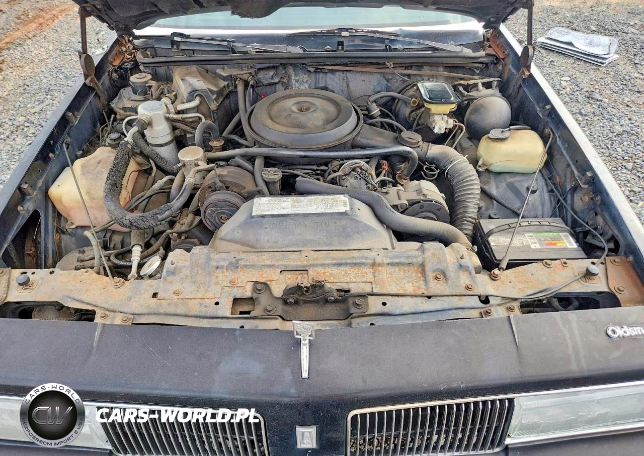 1987 Oldsmobile Cutlass Supreme VIN:1G3GR11Y5HP324630 - 11