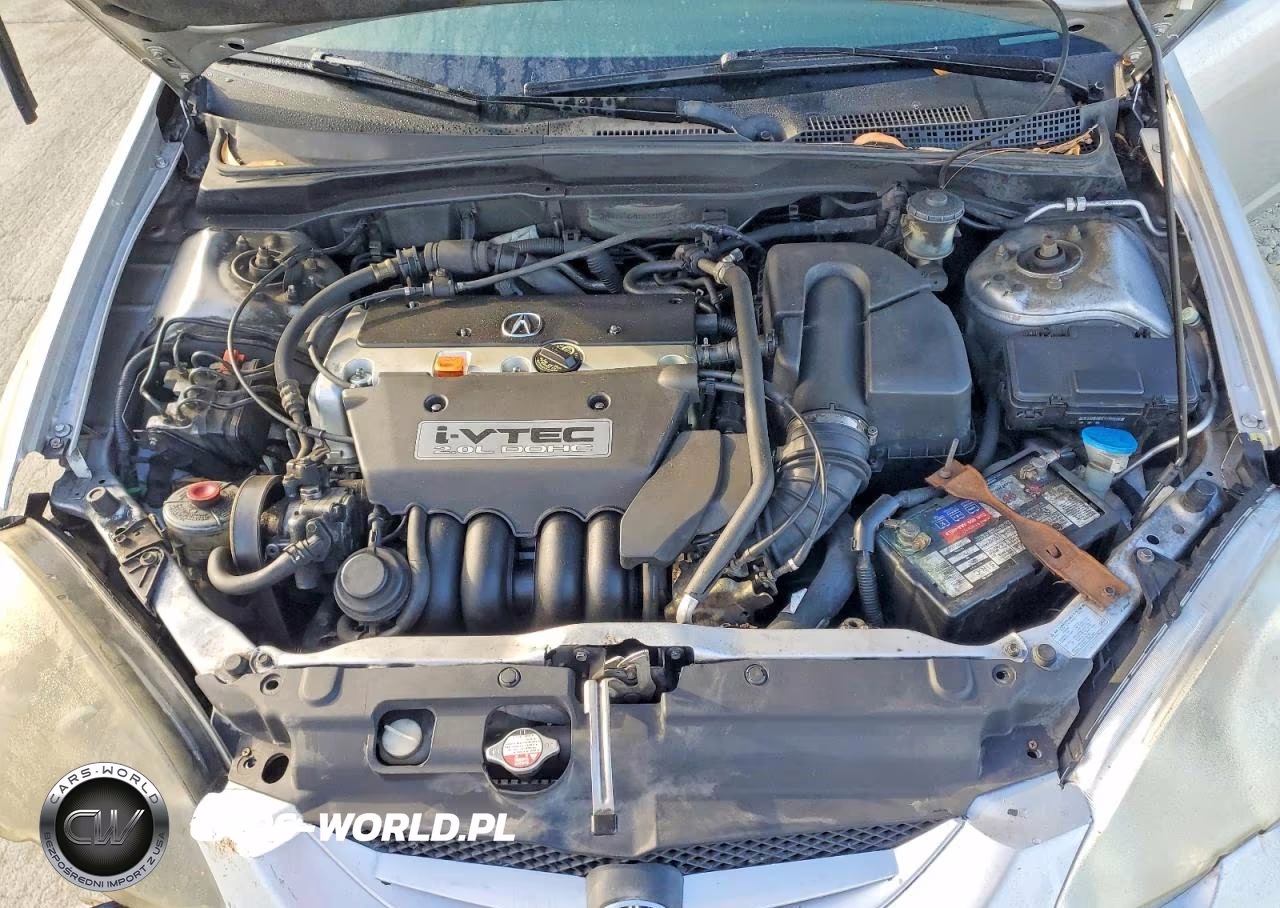 2002 Acura Rsx VIN:JH4DC54862C021442 - 11
