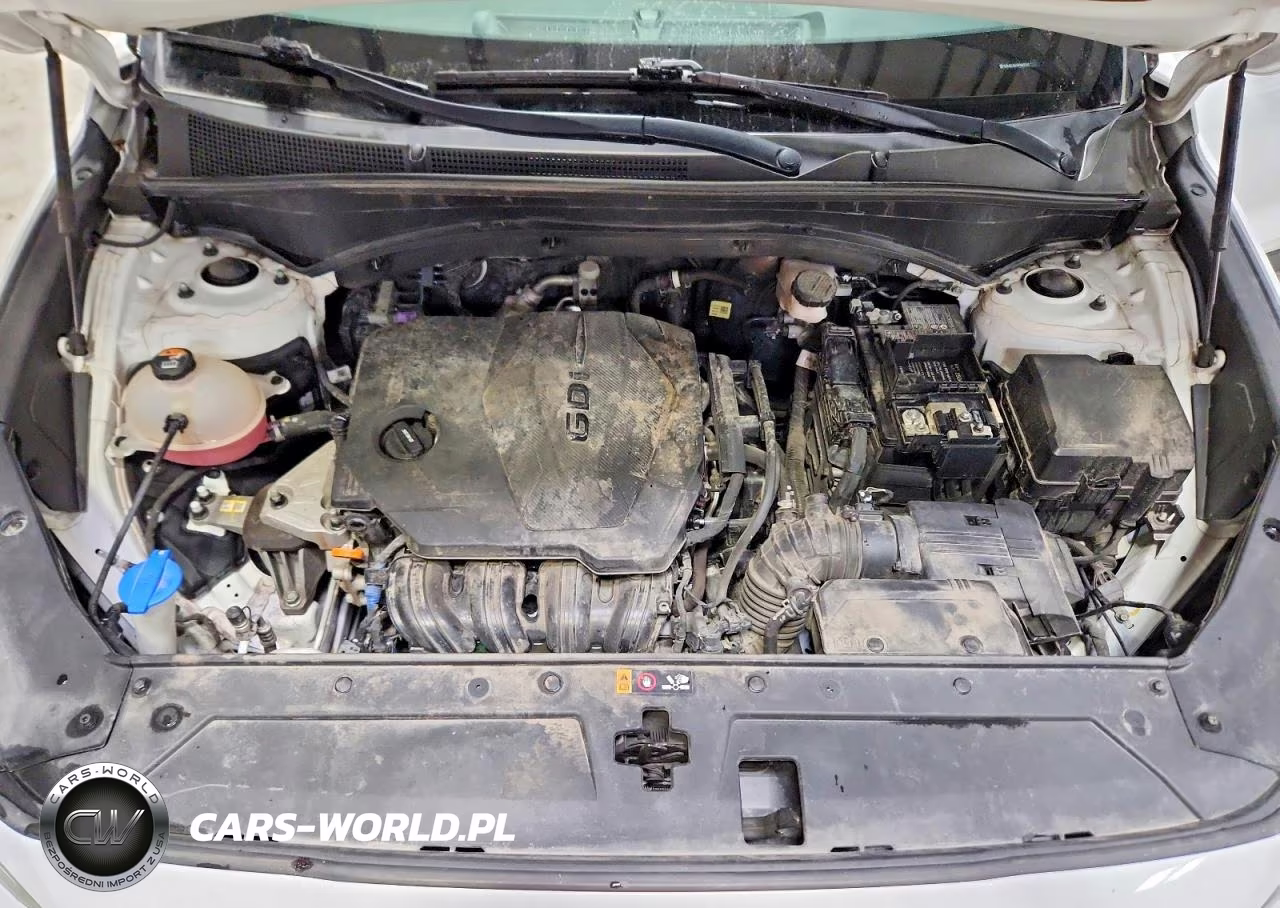 2023 Hyundai Santa Fe Sel VIN:5NMS24AJ4PH617672 - 12