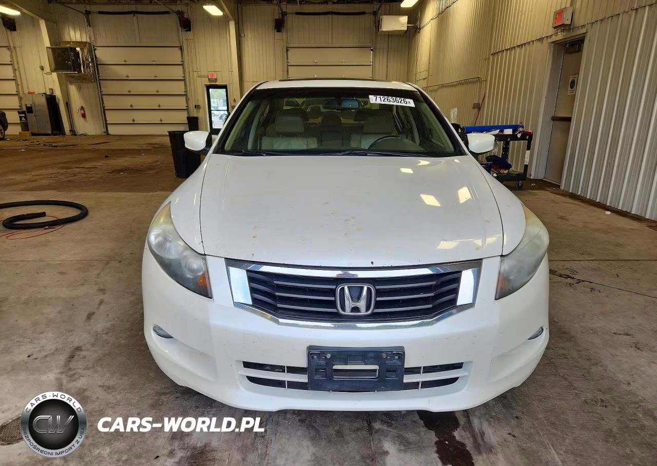 2010 Honda Accord Exl VIN:5KBCP3F81AB014016 - 5